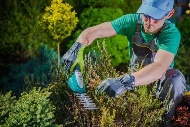 landscaping services Rensselaer